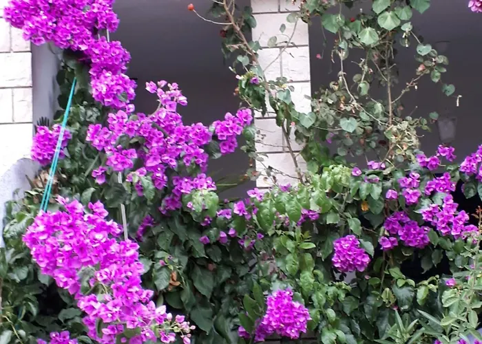 Mirjana Appartamento Vodice